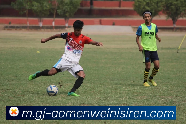 威尼斯人娱乐官网APP 封面图